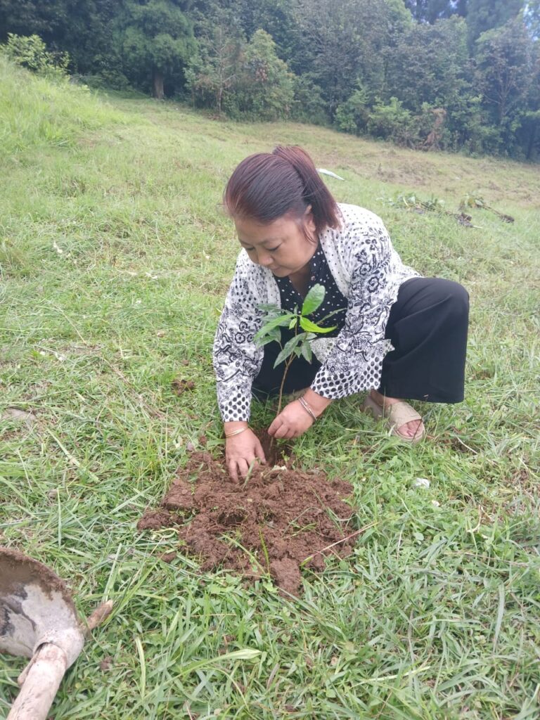 Aawaz Ngo Tree Plantation Kurseong, Darjeeling